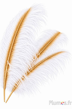 Strauß mit goldfarbenem Federkiel - 50-60 cm - weiss